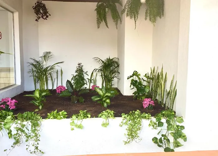 Apartamento Ocean Garden By Deihu Experiences