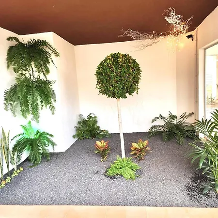 Ocean Garden By Deihu Experiences Appartement