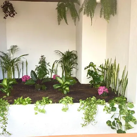 Appartement Ocean Garden By Deihu Experiences